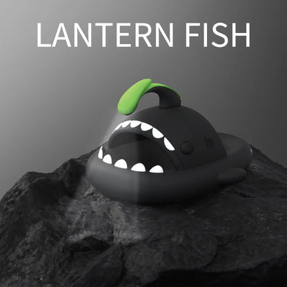 4cm Thick Sole Shark Slippers Women Couple's Indoor And Outdoor Lantern Fish Slides Man‘s Anti Skid Home Cool Shoes 2023 Summer